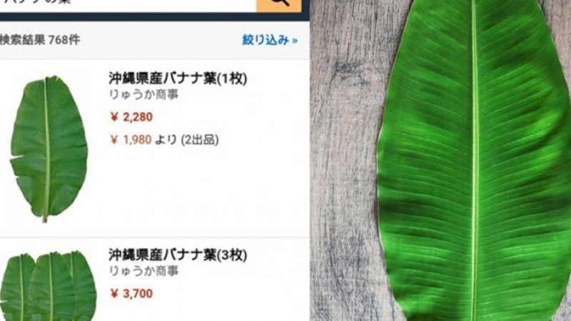 (Kiri) harga daun pisang di Jepang. (Dok. Amazon) / Ilustrasi daun pisang. (Anudinam)