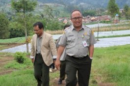 Tak Kenal Pandemi, Ekspor Rempah ke Eropa Meningkat