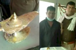 Dokter Ini Kena Tipu, Beli 'Lampu Aladdin' yang Harganya Miliaran Biar Kaya Raya