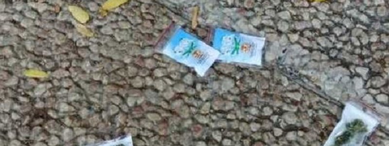 Ada Hujan Ganja di Israel