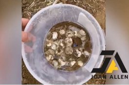 Pakai Detektor Logam, Pemburu Harta Karun Temukan Poin Perak Senilai Rp1,9 Miliar