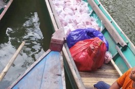 Sapi Kurban Wagub Sulsel Dibagikan di Lokasi Banjir Wette'e Wajo