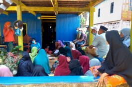 Program KUR Anir-Lutfi Bisa Penuhi Kebutuhan Pupuk Petani Paccinaongan