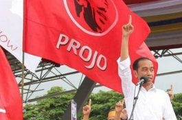 DPP Projo Siap Menangkan Danny-Fatma di Pilwalkot Makassar