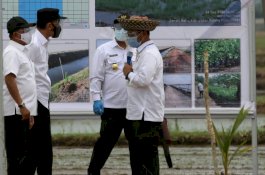 Presiden Jokowi Tinjau Percontohan Kawasan Food Estate Kalteng