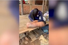 Digigit Nyamuk 20 Tahun Lalu, Kaki Pria Ini Bengkak dan Diseret saat Berjalan