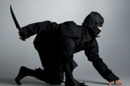 3 Menit Museum Ninja Dibobol Maling, Jutaan Yen Hilang