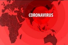 Terus Bertambah, Kesembuhan Pasien Covid-19 di Indonesia Sudah 445.793 Orang