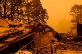 Selamatkan Nenek dari Kebakaran, Bocah 13 Tahun Tewas