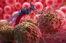 WHO: Kematian Akibat Malaria Bisa Lebih Tinggi dari Covid-19