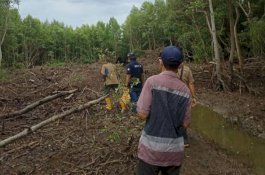 KLHK Tak Gentar Hadapi Prapradilan Tersangka Pengrusakan Kawasan Mangrove di Makassar