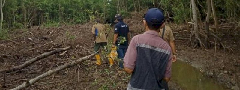 KLHK Tak Gentar Hadapi Prapradilan Tersangka Pengrusakan Kawasan Mangrove di Makassar