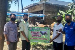 PT Semen Tonasa Kurban 27 Ekor Sapi