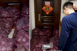 Kirim 1.000 Kg Bawang Bombai agar sang Mantan Menangis, Begini Isi Pesannya