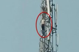 Suami Panjat Menara BTS Usai Bertengkar dengan Istri, Polisi Berusaha Membujuk