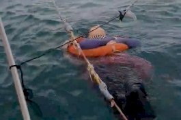 Wanita Ini Hilang 2 Tahun Lalu Dan Ditemukan Hidup-Hidup Mengapung di Lautan