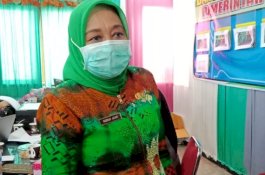 Jelang Tes Swab Massal, Dinkes Makassar Rangking Kelurahan Tertinggi Kasus Covid-19