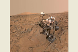 NASA Tunda Uji Coba Roket Hingga Maret