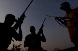 Baku Tembak di Nduga, 1 Anggota KSB Tewas