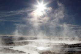 Temuan Ilmuwan: 2020 Jadi Tahun Terpanas dalam Sejarah Dunia