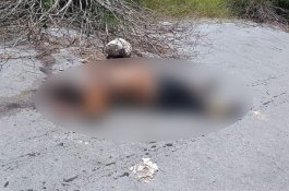  Pergi Temui Kekasih, Mama Muda Pulang Tak Bernyawa dengan Kondisi Kulit Kepala Tercabut