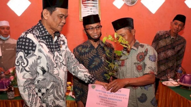 Pemkab Barru Mulai Kembangkan Tanaman Rempah-Rempah