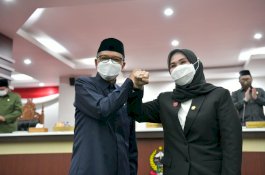 Bunga Nol Persen, Pemprov Sulsel Rencanakan Akses Dana Pemulihan Ekonomi Nasional