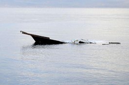 Menegangkan, Pria Ini Berenang 3 Km di Perairan Penuh Hiu Usai Perahunya Terbalik