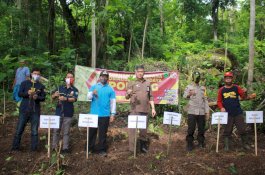 Manfaatkan Lahan Tidur, Pemda-Karang Taruna Kecamatan Barru Tanam Porang