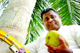 Lihat Gaya Menteri Sri Lanka Panjat Pohon Kelapa saat Konferensi Pers