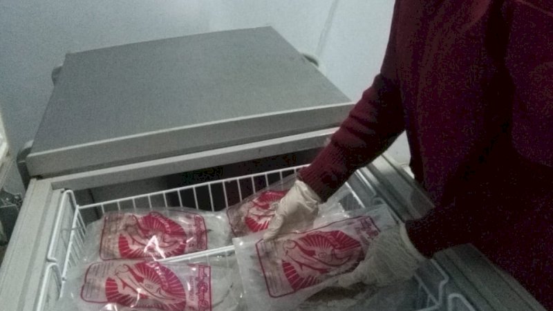 Produk Ikan Bandeng Tanpa Duri UKM Pangkep Sampai ke Jawa Hingga Papua
