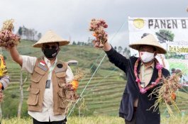 Soal Kebutuhan Pupuk, Ini Pesan Menteri Pertanian untuk Bantaeng