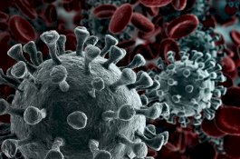 Epidemiolog Sebut Puncak Covid-19 di Indonesia Masih Jauh, Tetap Disiplin Terapkan 3M
