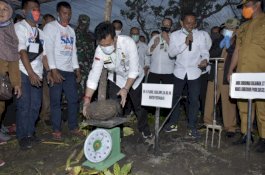 Gairahkan Komoditas Ekspor, Mentan SYL Tanam dan Panen Porang di Sidrap