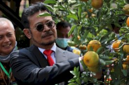 Pengamat: Mentan SyahruI Bawa Pertanian Indonesia Jauh Lebih Baik