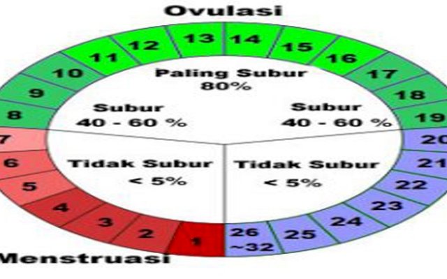 Tak Harus Kb Anda Bisa Atur Kehamilan Dengan Kalkulator Masa Subur Ini