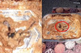 Wanita Ini Muntah Berjam-jam Usai Temukan Bangkai Tikus Dalam Makanan