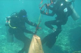 Latihan Personel, Basarnas Makassar Uji Coba Skenario Pencarian dan Pertolongan