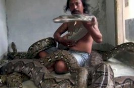 Inilah Wanto Goweng yang Punya 10 Piton Raksasa