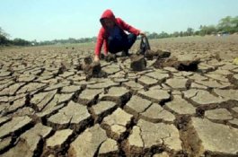 BMKG: 58 Kabupaten/Kota Siaga Kekeringan, Termasuk Kepulauan Selayar