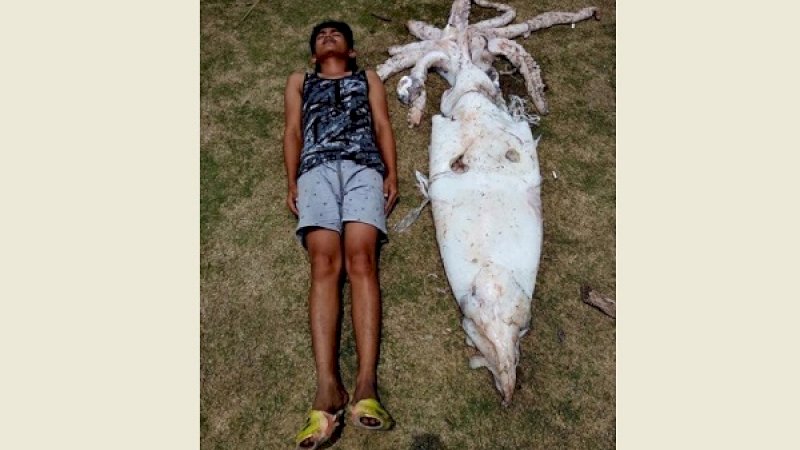 Seorang nelayan Filipina, berbaring di dekat cumi hasil tangkapannya.